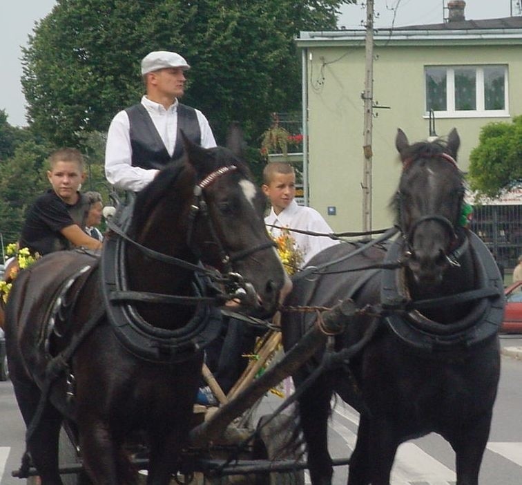 Powiat proszowicki. Zobacz archiwalne zdjęcia z dożynek!