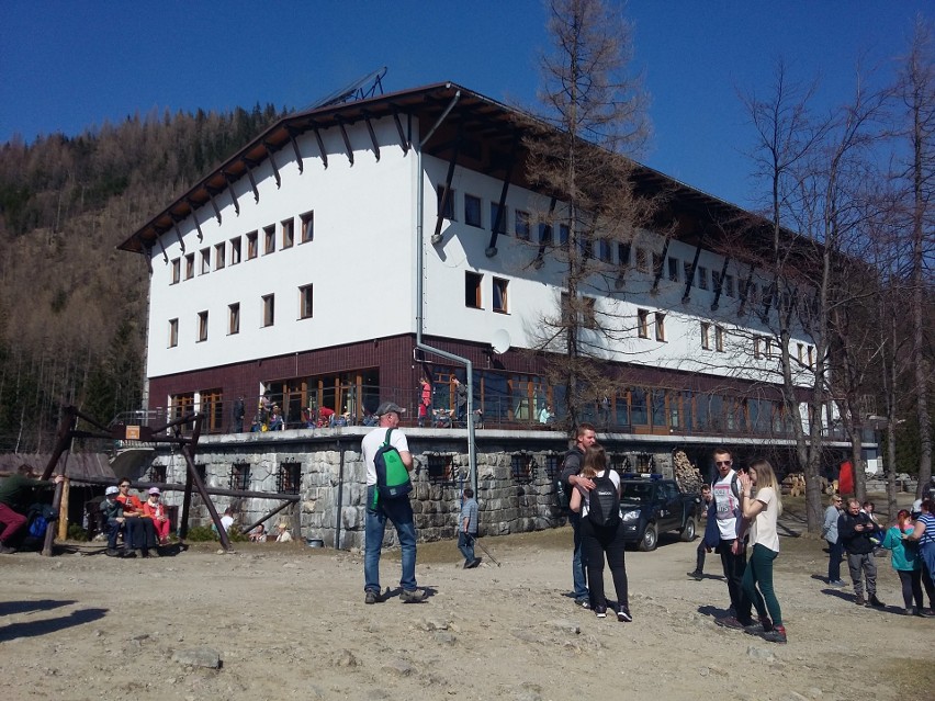 Tatry. Tłumy podziwiały krokusy na Kalatówkach [ZDJĘCIA]