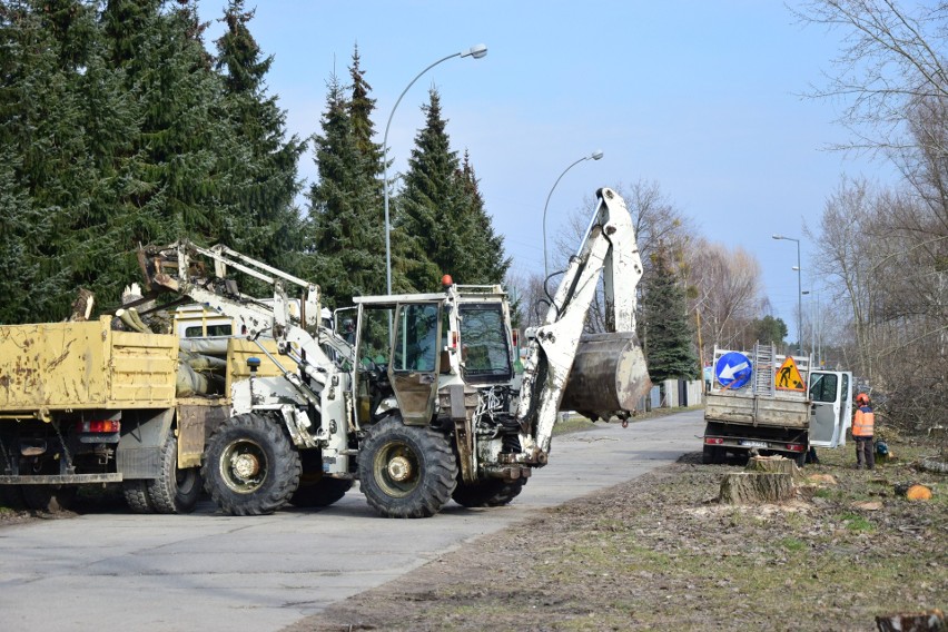 Tarnobrzeg. Nadchodzi koniec drogowego koszmaru na ulicy Marii Curie - Skłodowskiej. Trwa wycinka drzew pod budowę drogi. Zobacz zdjęcia