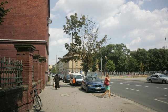 Ulica Ratajczaka zamieniła się w ulicę umierających klonów.