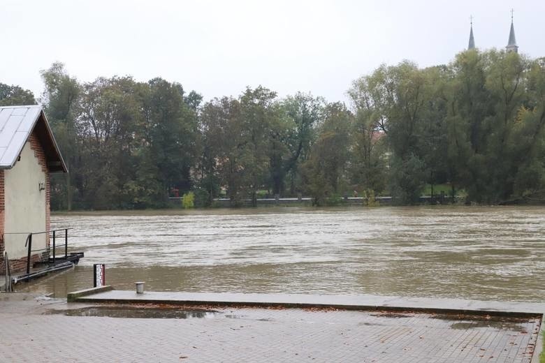 W Brzegu szykują się na kulminacyjną falę powodziową na...