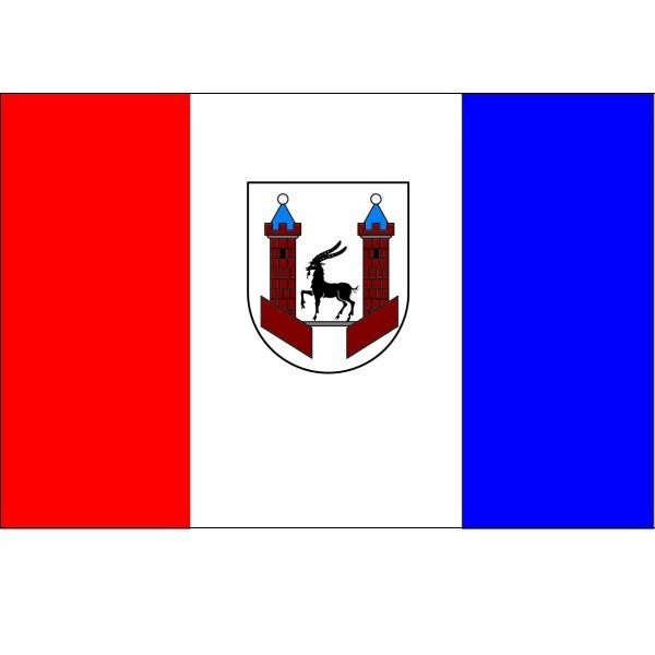 Jeśli ministerstwo nie wniesie uwag, tak będzie wyglądać flaga Praszki.