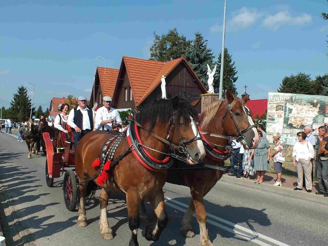 W Kałkowie w korowodzie dożynkowym są konie