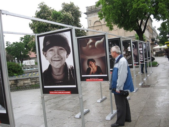 Przechodzący deptakiem z zainteresowaniem oglądają fotografię. Na pierwszym planie widoczna fotografia autorstwa Krystiana Dróżdża.