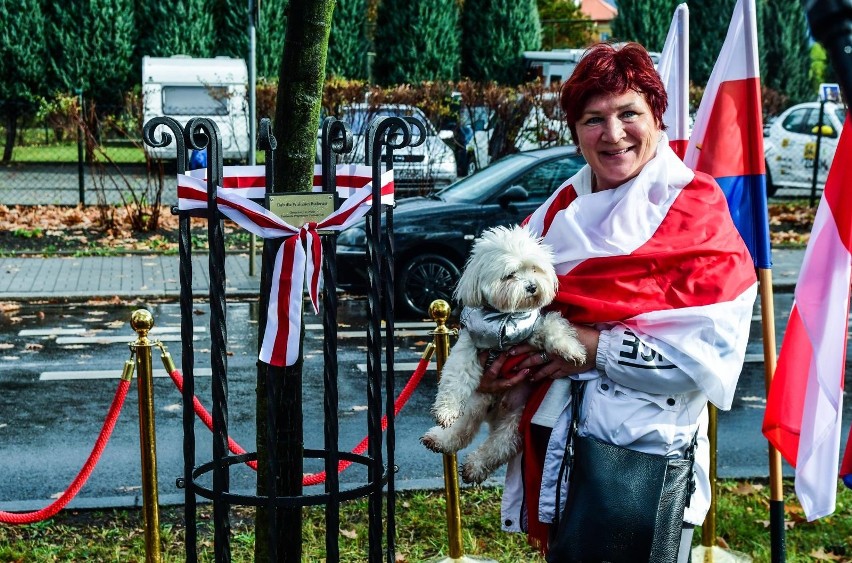 W czwartek, 21 października w alei oznaczono drzewo „Dla...