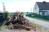 Drewno opałowe w Śląskiem. Ceny w sezonie 2022. Chrust i samowyrób - jakie warunki trzeba spełnić? Ile kosztują surowce