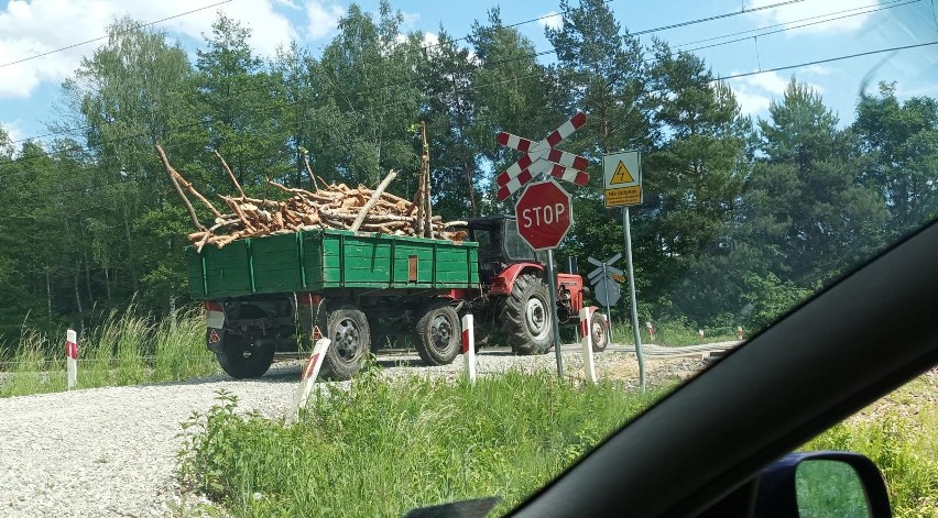 Jakie są ceny drewna opałowego w śląskich nadleśnictwach?...