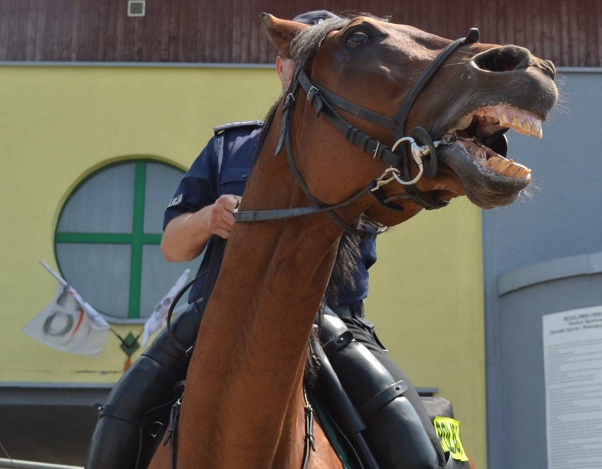 Święto Policji Będzin 2014