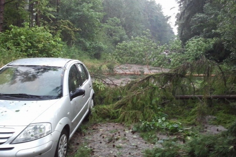 Nawałnice uderzyły w region. Straty w prawie każdym powiecie [NOWE INFO, FOTO, WIDEO]