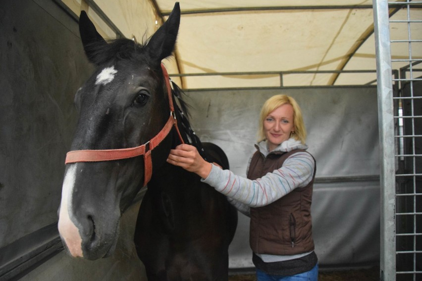 Przegląd koni rasy śląskiej w Porębie 2018 - zobacz najpiękniejsze wierzchowce
