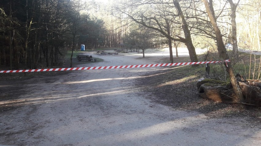 Zakaz wstępu do lasów i parków na terenie Szczecina - 04.04.2020