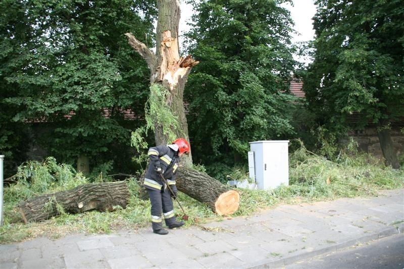 Drzewo spadlo na Oleskiej