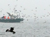 Rybacy z Ustki uratowali 6 rozbitków z tonącego kutra