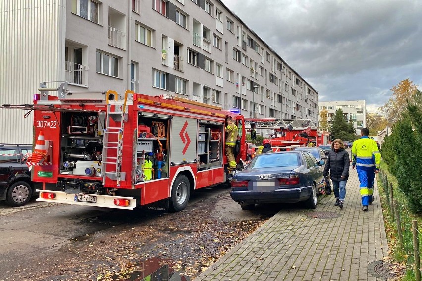 Pożar w bloku przy ul. Gersona we Wrocławiu. Strażacy wyrzucali nadpalone materiały przez okno. Na miejscu pracowało siedem zastępów