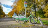 Koniec sezonu rowerów miejskich w Częstochowie. Ile razy korzystaliśmy z zielonych jednośladów?