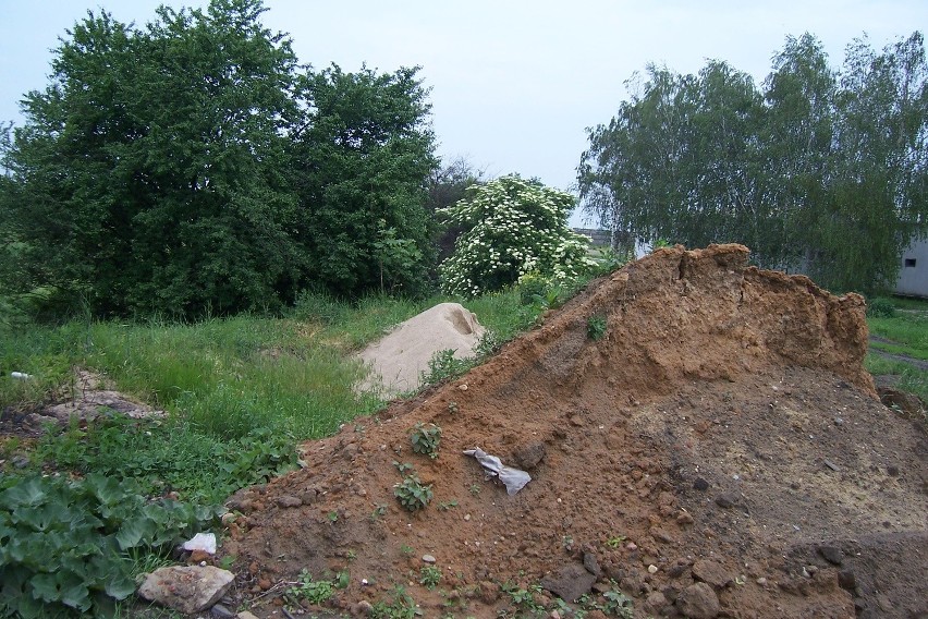 Miasto chce zrobić park przy kurzej fermie? [FOTO]