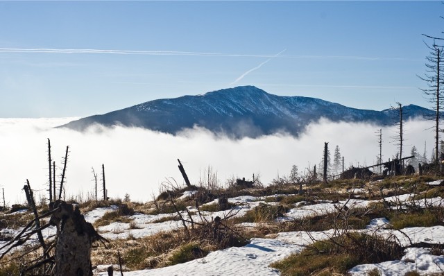 Babiogórski Park Narodowy zdecydował się na udostępnienie narciarzom czterech tras na zboczach Babiej Góry od soboty 4 lutego 2023. Chętni muszą jednak przestrzegać zasad. Od ich zachowania zależy, czy trasy będą udostępniane także w kolejnych latach.