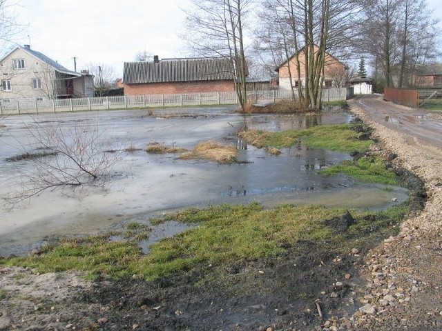 Łuzyk to zbiornik bezodpływowy w Cyganach, który gromadzi wodę gruntową oraz opadową z centralnego terenu wsi, jednak wysoki stan wód stwarza zagrożenie dla blisko położonych gospodarstw