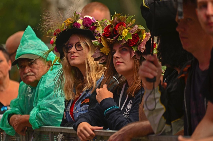 Rock na Plaży Paprocany 2018: Na scenie m.in. Dżem, TSA,...