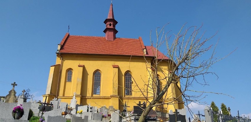 Na cmentarzu posadzono teraz m.in. 14 lip. Mieszkańcy długo...