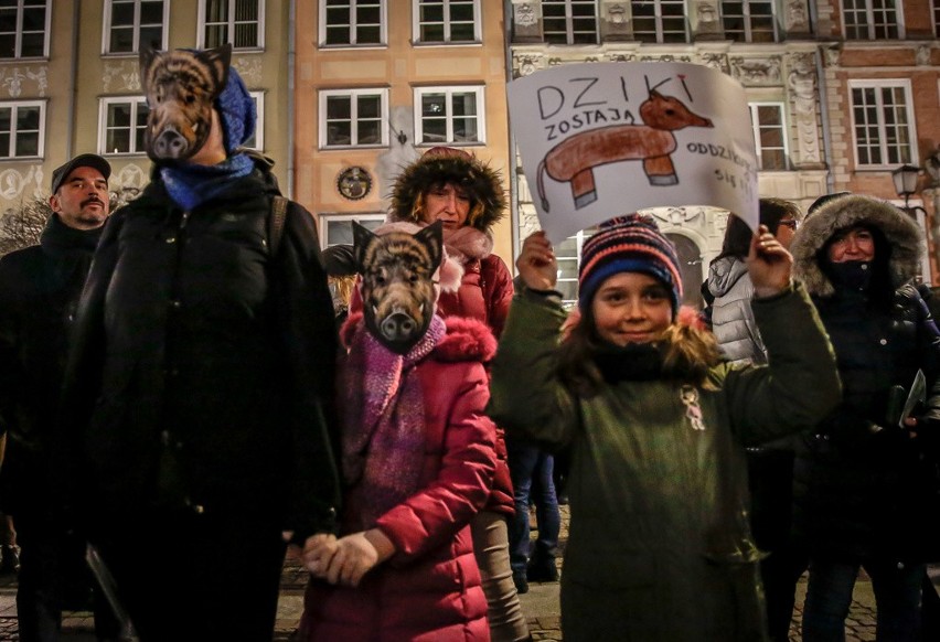 Gdański protest przeciwko masowemu odstrzałowi dzików,...