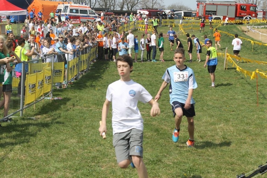 Cross Straceńców 2015. Sztafetowe Mistrzostwa Głogowa [Zdjęcia]