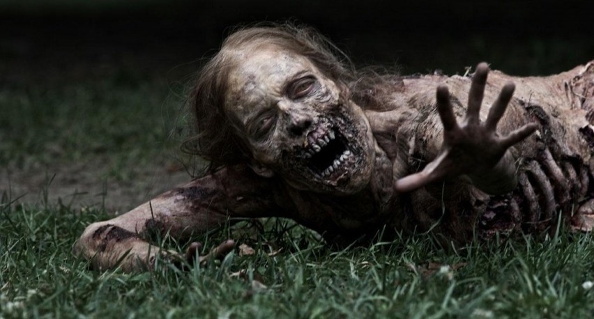 The Walking Dead: Zombie