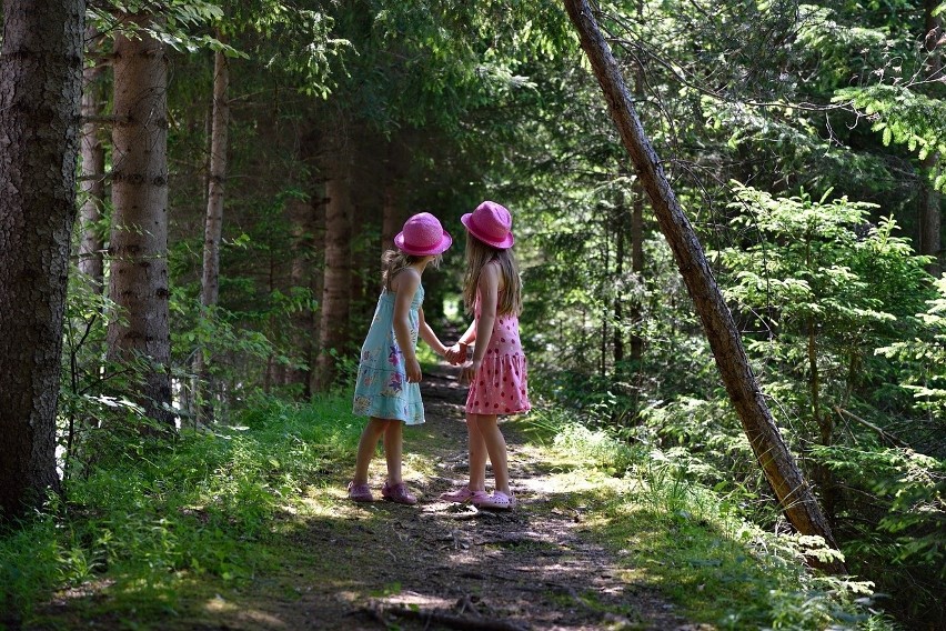Zielone szkoły i wycieczki do parków krajobrazowych dla dzieci i młodzieży. Od 1.12 nabory