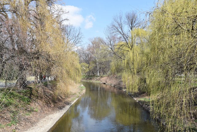 Park Sielecki budzi się do życia wraz z zmianą aury. Zobacz kolejne zdjęcia/plansze. Przesuwaj zdjęcia w prawo - naciśnij strzałkę lub przycisk NASTĘPNE