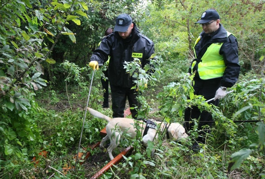 Park im. R. Reagana był przeszukiwany wielokrotnie (na...