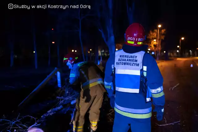 Strażacy z Kostrzyna usuwali powalone drzewo na ul. Fabrycznej.