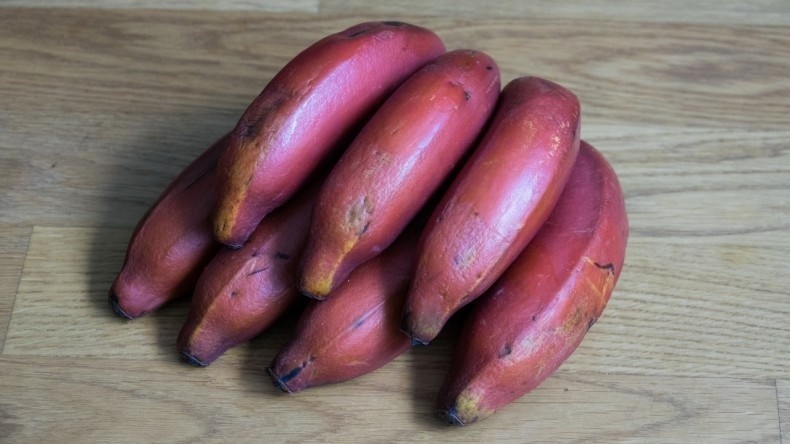 Dojrzałe banany mają ciemnoczerwoną skórkę. Jeśli kupimy...