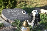 Cmentarz dla zwierząt w Rybniku. Tutaj mieszkańcy oddają cześć swoim pupilom ZDJĘCIA