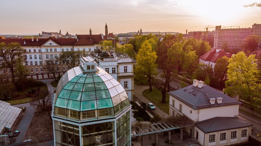 Ogród Botaniczny UJ. Nowe atrakcje dla zwiedzających. Szykuje się dużo zmian