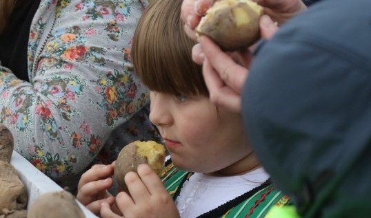 "W dzień świętej Tekli ziemniaki będziem piekli" - 25 września odbędzie się wielkie pieczenie ziemniaków w Dębnie