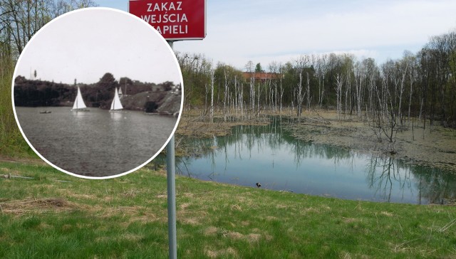 Plaga zalewisk w Chrzanowie i Trzebini. Co nas czeka w najbliższych latach?