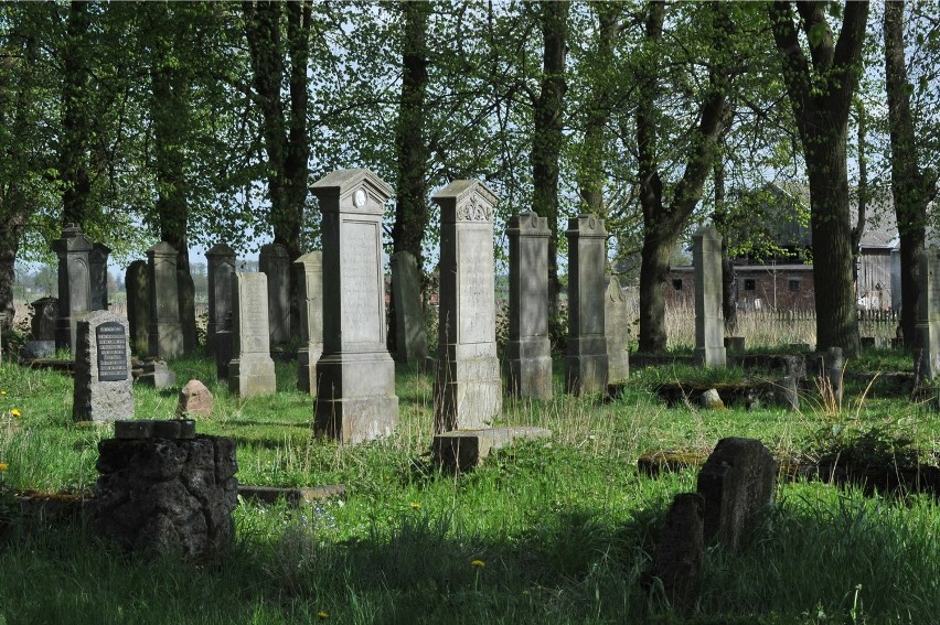 Stogi Malborskie, największy zachowany cmentarz mennonicki...