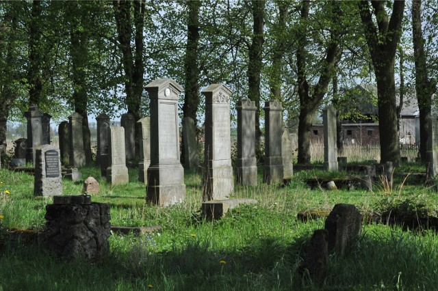 Stogi Malborskie, największy zachowany cmentarz mennonicki na Żuławach