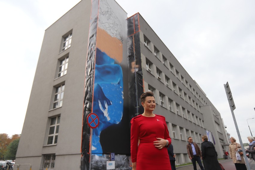 W Sosnowcu, na budynku przy ul. 3 Maja, powstaje „antyrakowy...