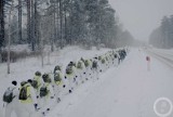 Żołnierze Terytorialnej Służby Wojskowej walczą z wirusem ASF. Szukają martwych dzików w podlaskich lasach [ZDJĘCIA]