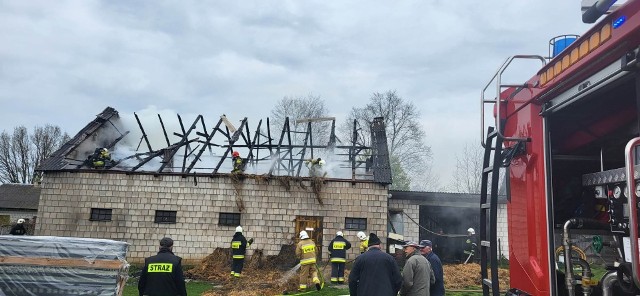 Tak strażacy gasili w czwartek pożar obory w Wólce Twarogowej w gminie Skaryszew.