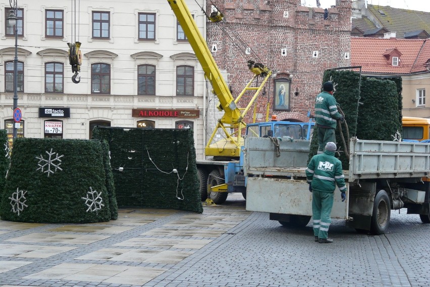 Zobacz jak ustawiano choinkę przed lubelskim ratuszem (ZDJĘCIA)