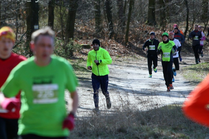 Grand Prix City Trail w Lublinie. Triumfował Jarosław Bimkiewicz (ZDJĘCIA)