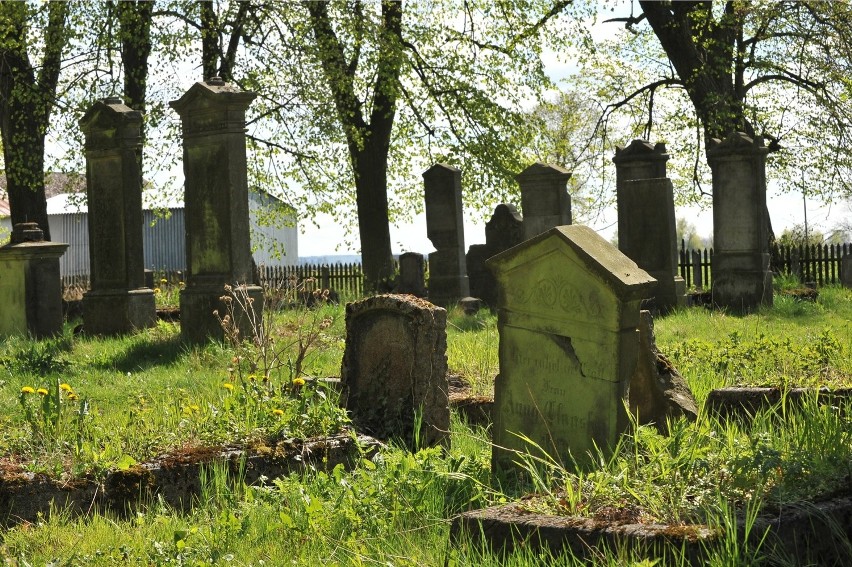 Stogi Malborskie, największy zachowany cmentarz mennonicki...