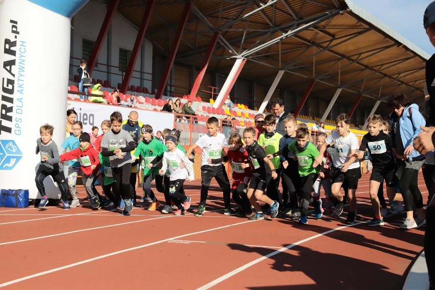 Na stadionie zwierzynieckim w niedzielne, słoneczne południe...