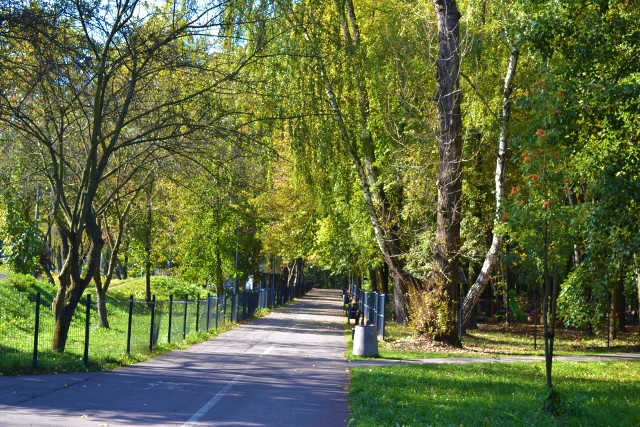 Parkrun odbywa się w Parku Kuronia w Sosnowcu. Udział jest darmowy, ale przed pierwszym udziałem musimy zarejestrować się przez internet. 30 października podczas wydarzenia zbierane będą pieniądze na leczenie Piotra Habryki, policjanta, który został potrącony przez samochód i wymaga rehabilitacji.