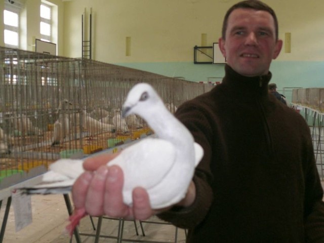 Wśród gołębi najwięcej jest srebrniaków polskich. Na zdjęciu Michał Przydatek ze Starachowic, ze swoim najlepszym srebrniakiem