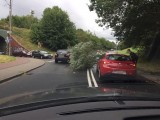 Niebezpiecznie na ulicy Batalionów Chłopskich w Koszalinie. Drzewo spadło na jadący samochód [ZDJĘCIA]