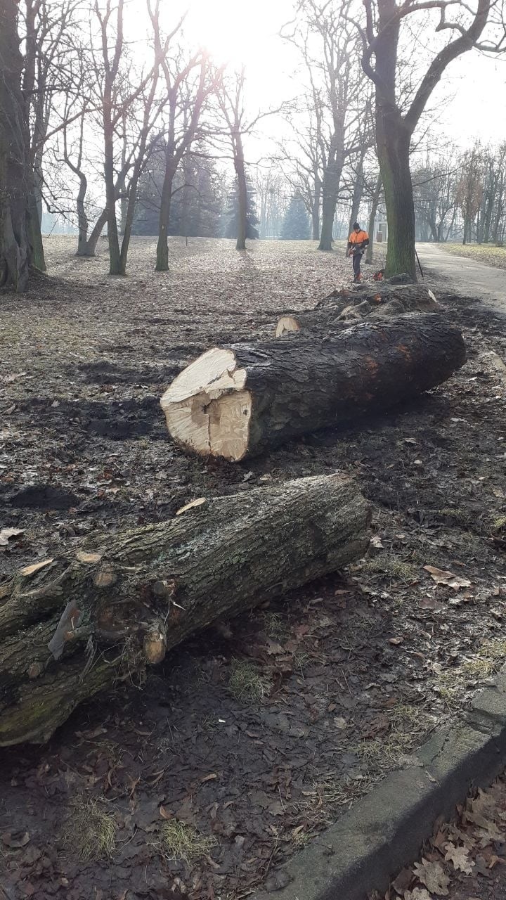 W parku na Cytadeli pojawiły się kłody blokujące wjazd...