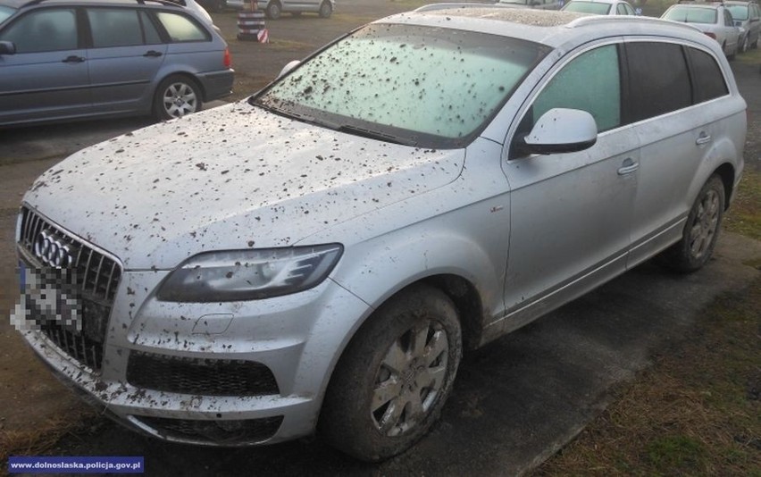 Luksusowe audi skradzione z niemieckiego salonu porzucone w lesie (ZDJĘCIA, FILM) 